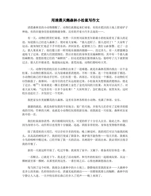 用清晨天鹅森林小松鼠写作文