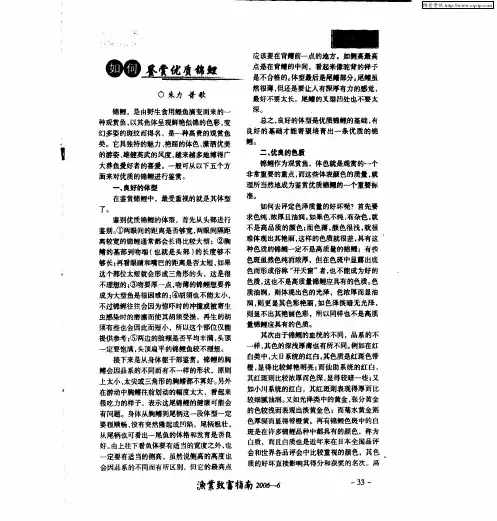 如何鉴赏优质锦鲤