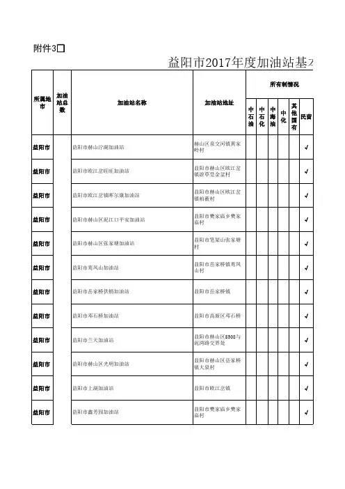 2017年度加油站基本情况表
