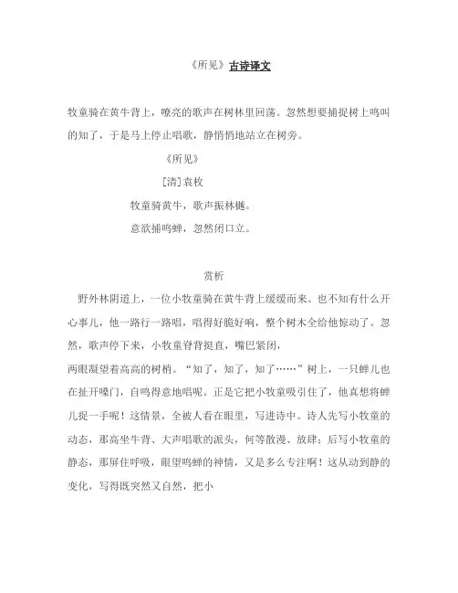 所见古诗译文