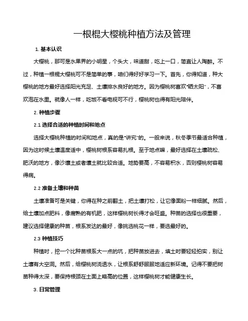 一根棍大樱桃种植方法及管理