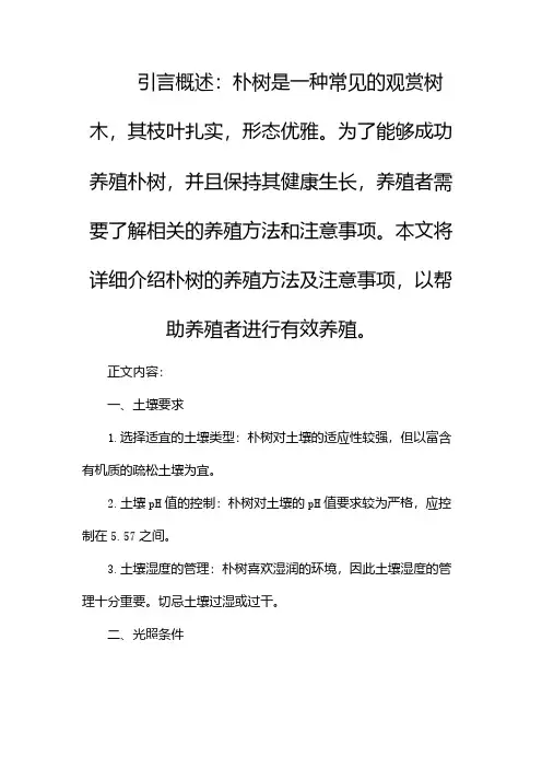 朴树的养殖方法及注意事项
