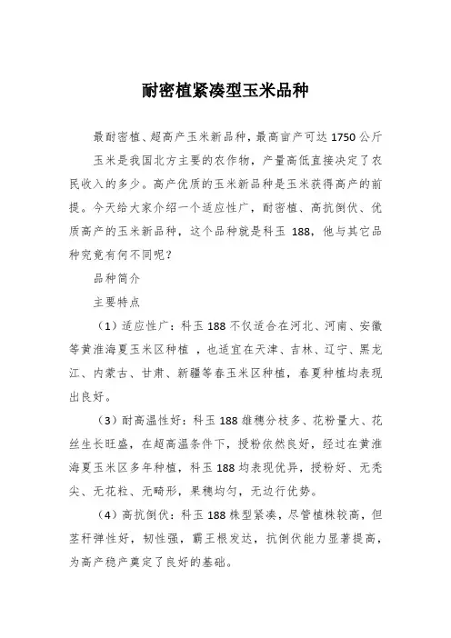 耐密植紧凑型玉米品种
