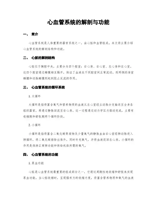 心血管系统的解剖与功能