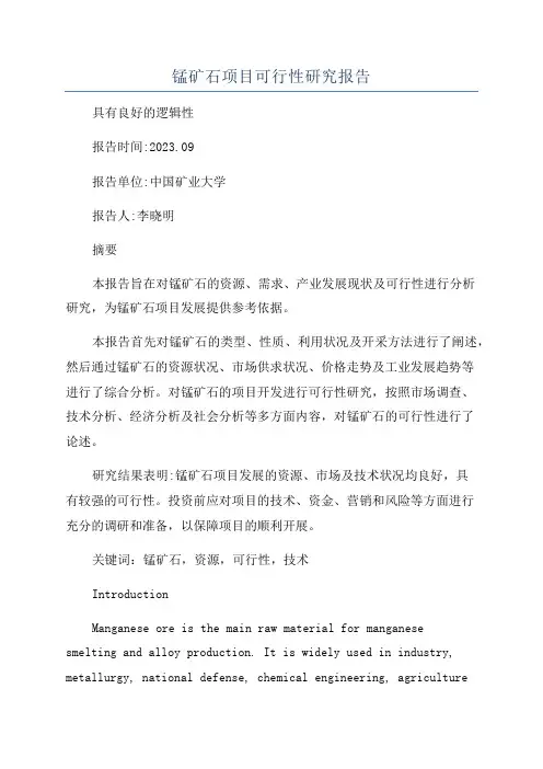 锰矿石项目可行性研究报告