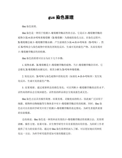 gus染色原理