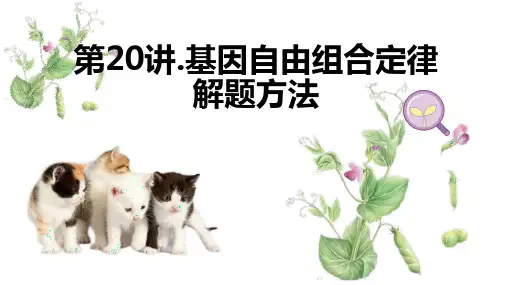 第20讲 基因的自由组合定律的解题方法-【高效备考】2024年高考生物一轮复习优质课件
