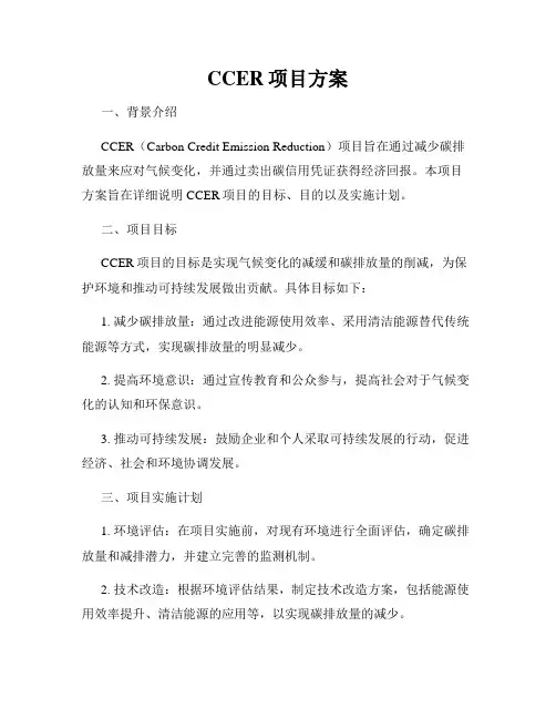 CCER项目方案