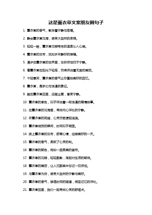 这是薰衣草文案朋友圈句子