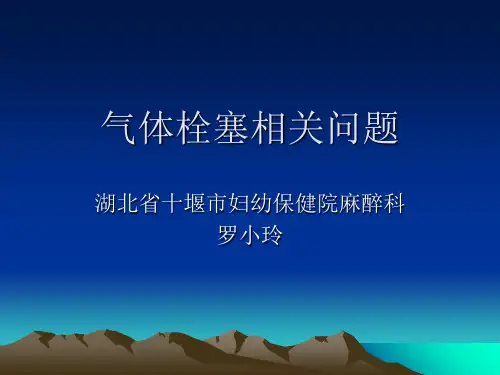 空气栓塞 ppt课件