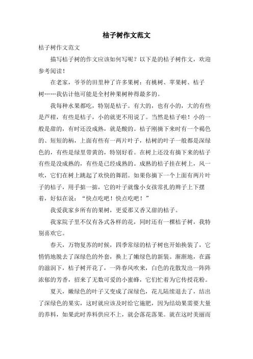 桔子树作文范文