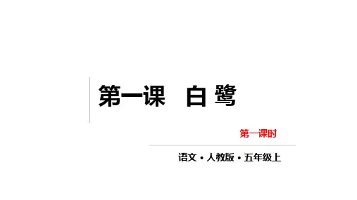 白鹭课件(共46张PPT)