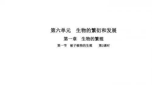 (冀少版)生物八年级下册课件：第六单元 生物的繁衍和发展第一章 第一节 被子植物的生殖  第2课时