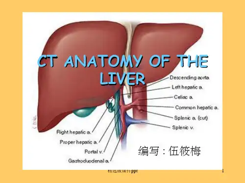肝脏CT解剖图记忆