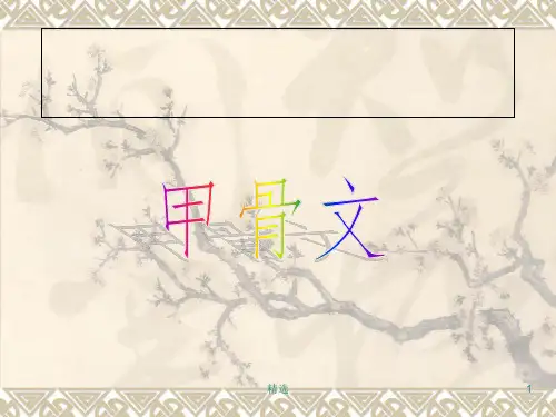甲骨文1PPT课件
