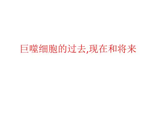 巨噬细胞
