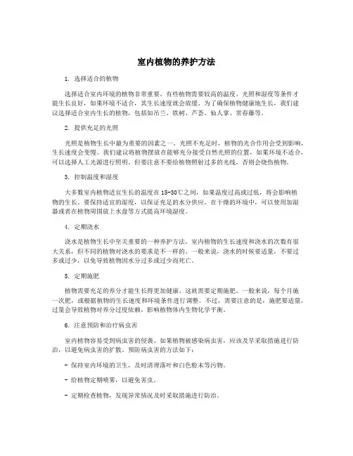 室内植物的养护方法