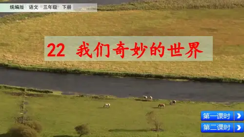 我们奇妙的世界优秀ppt课件
