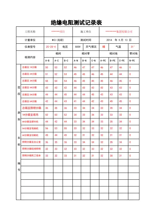 绝缘电阻检测记录(样板)