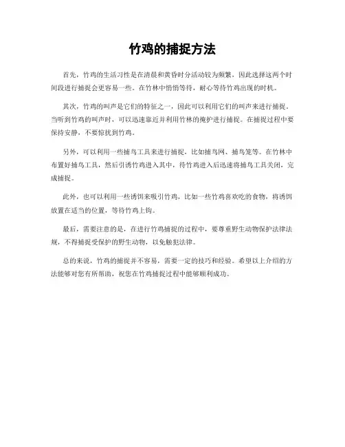 竹鸡的捕捉方法