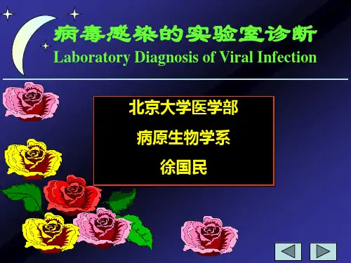 病毒感染的实验室诊断