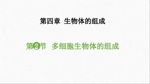 第二节多细胞生物体的组成课件2023-2024学年苏教版生物七年级上册