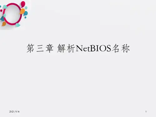 解析NetBIOS名称