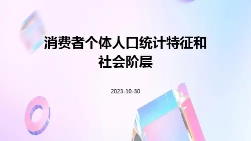 消费者个体人口统计特征和社会阶层
