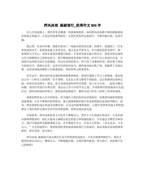 栉风沐雨 砥砺前行_优秀作文800字