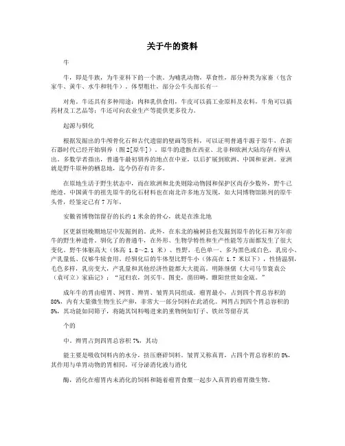 关于牛的资料