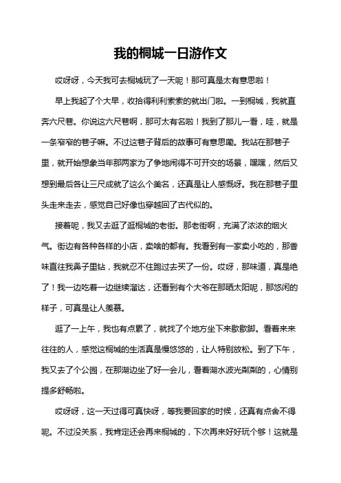 我的桐城一日游作文