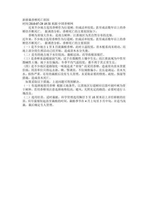 新移栽香樟死亡原因