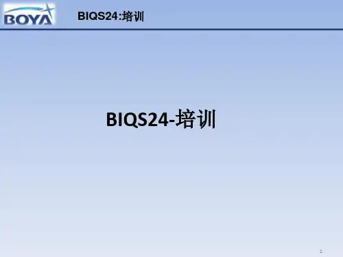 BIQS24-培训课件