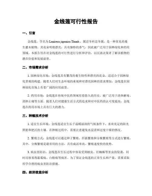 金线莲可行性报告