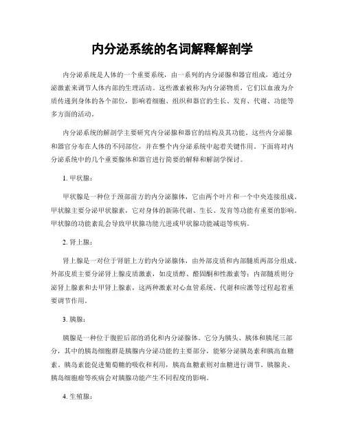 内分泌系统的名词解释解剖学