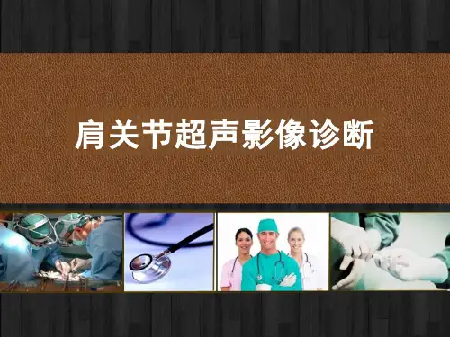肩关节超声影像诊断课件