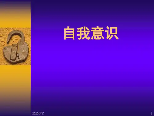 社会心理学-自我意识