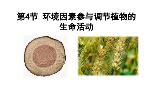 人教版新教材选择性必修一-5.4-环境因素参与调节植物的生命活动