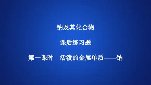 高中化学《钠及其化合物》课后练习题