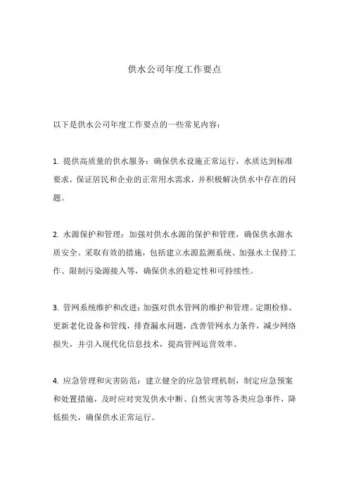 供水公司年度工作要点