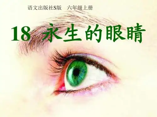 18 永生的眼睛课件
