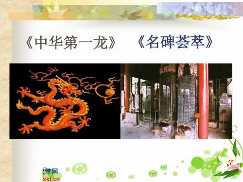 中华第一龙名碑荟萃