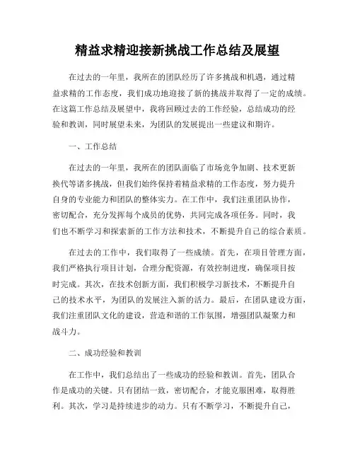 精益求精迎接新挑战工作总结及展望