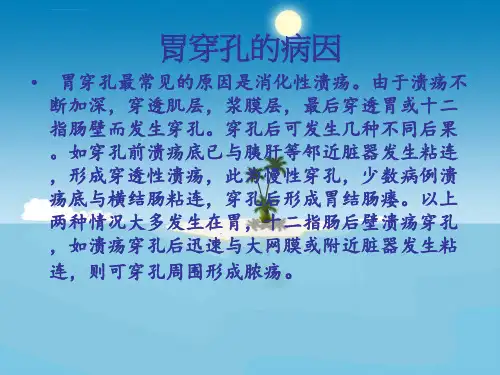 胃穿孔护理查房ppt课件