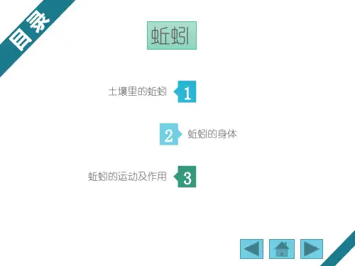 小学三年级科学上册蚯蚓