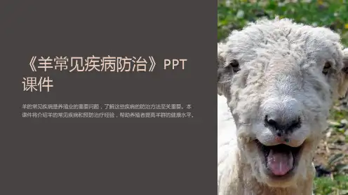 《羊常见疾病防治》课件