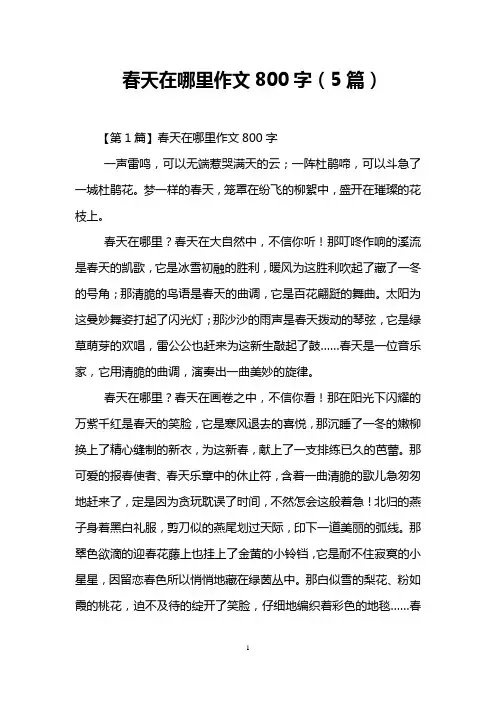 春天在哪里作文800字(5篇)