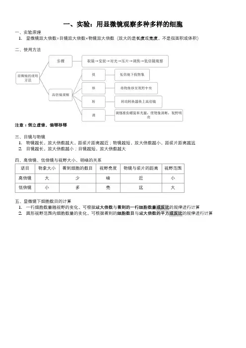 实验：用显微镜观察多种多样的细胞