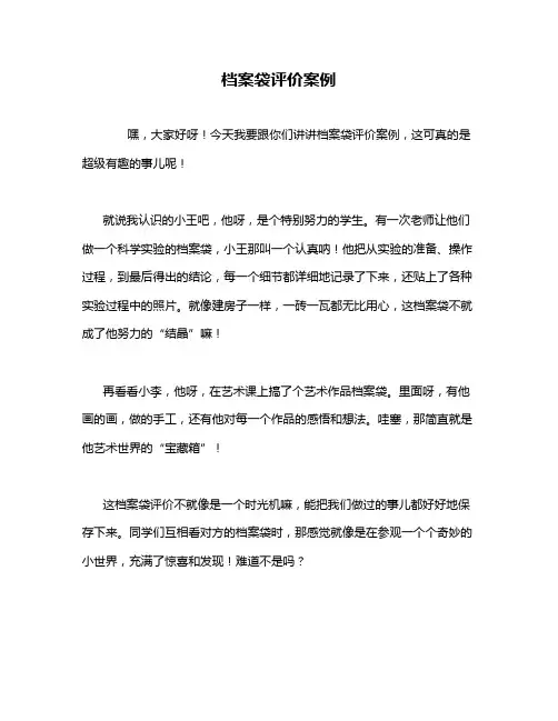 档案袋评价案例