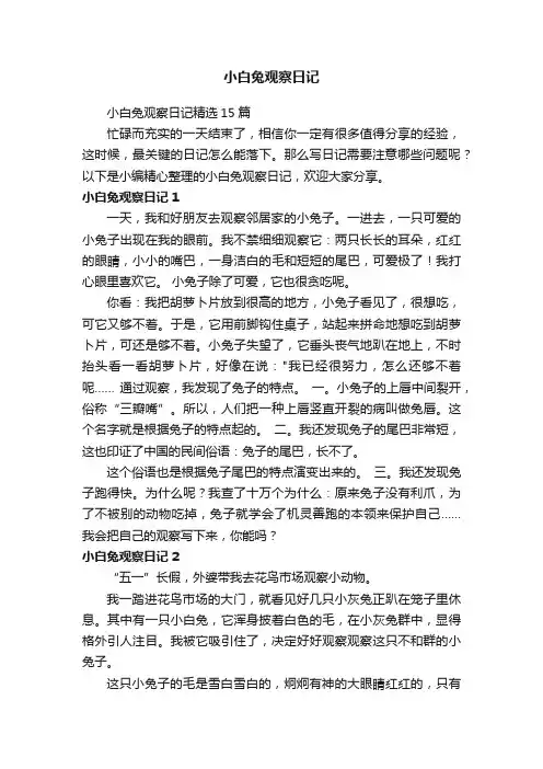 小白兔观察日记精选15篇